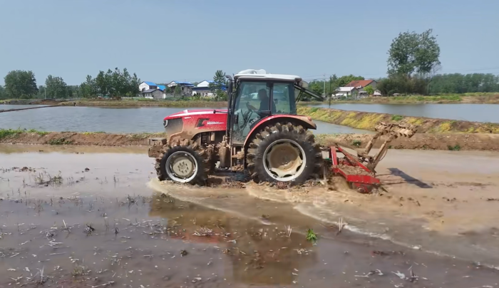 7e91dbb6a0c5419a8c3ded36023167a6