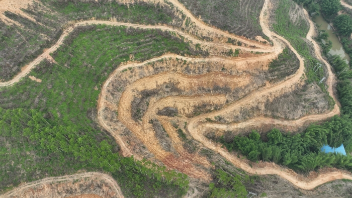 811c5569d7264f5ebef8e3d6690d36c5