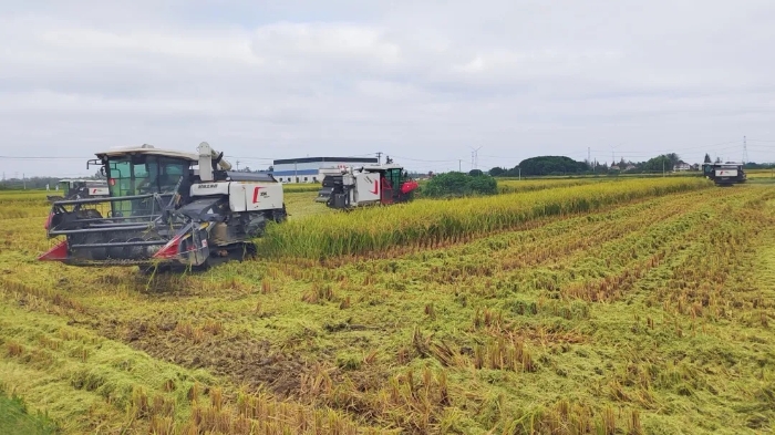 0d51fadeaf254b9da88e26b48d984fe7