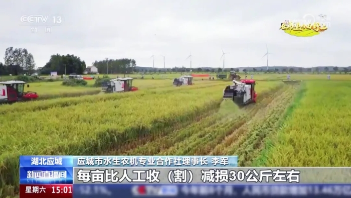 56cdf43d3e8142bfa99b55cfc2a722b6