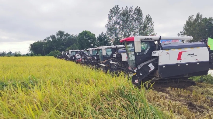 422a7d21b41242c48d26e98f0ed5d96f