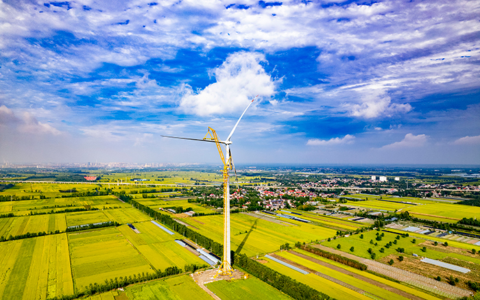 648258ddab7442afbf101e97b454b670