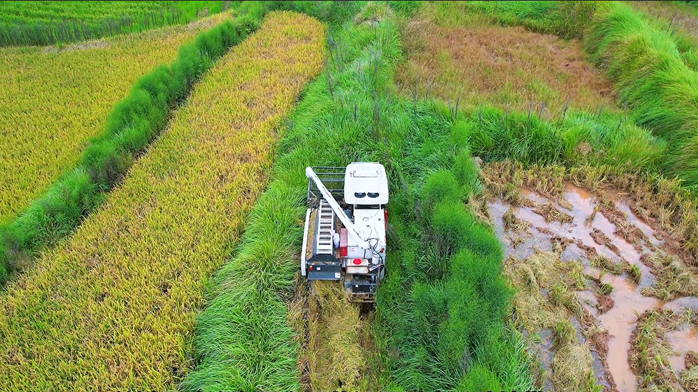 888f4d93a4e44995ab9ad8e7a87373eb